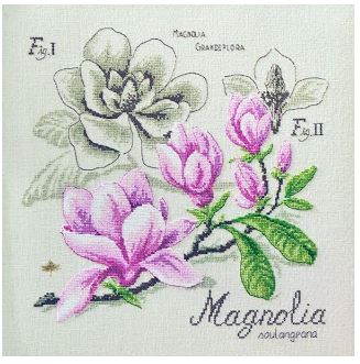 magnolia manolya